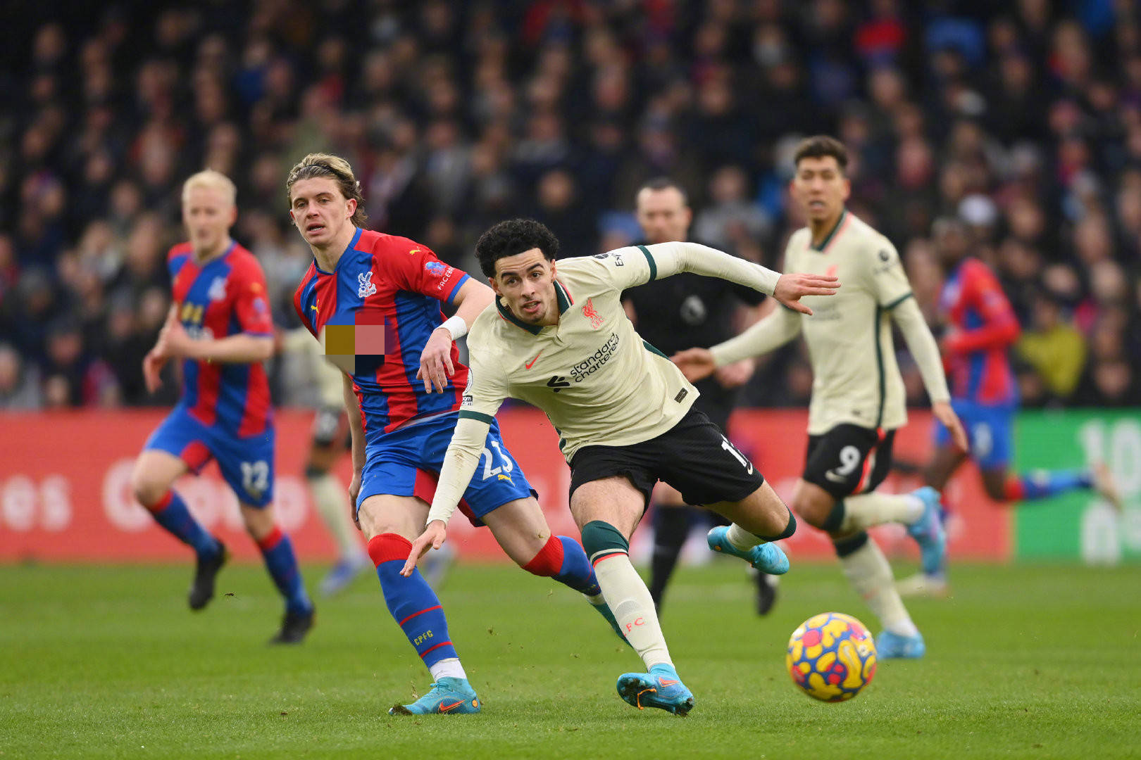 哈尔滨致力 哈尔滨致力